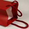 Sample Free China Factory Custom Wine Gift Paper Packaging Bags 