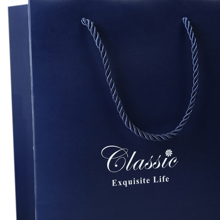 Wholesale High Quality Custom Logo Paper Gift Bags With Silk Handles For Clothing Gifts