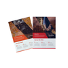 Impression wonderful Brochures/flyer /catalogues/ Printing Service 