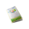 Cheap Flyers And Posters Custom Paper Advertising Promotional DL Flyer